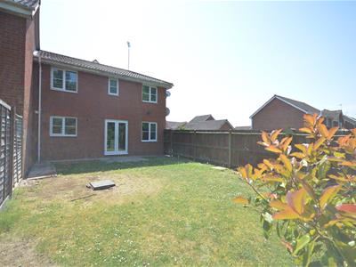 Picture 12